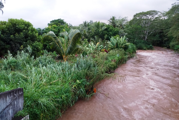 Vaisigano river about to burst its banks and caused flooding last week.