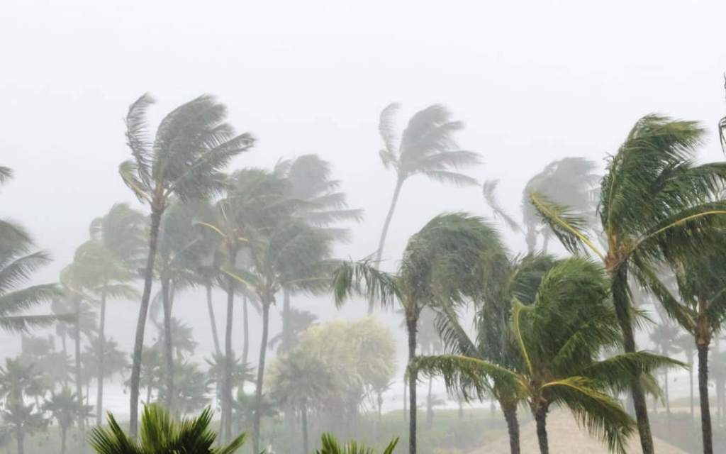 Tropical storm image