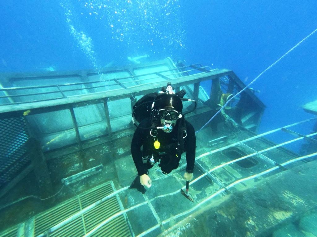 Diver on sunk vessel