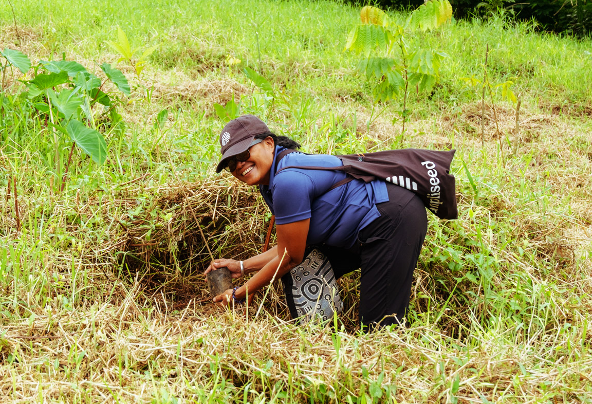 Kiwa tree planting