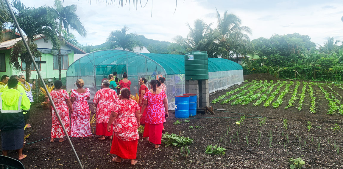 Solosolo women garden