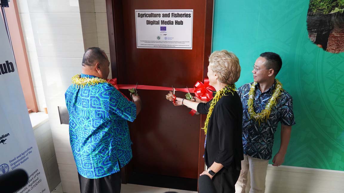 MAF Digital Media Hub ribbon